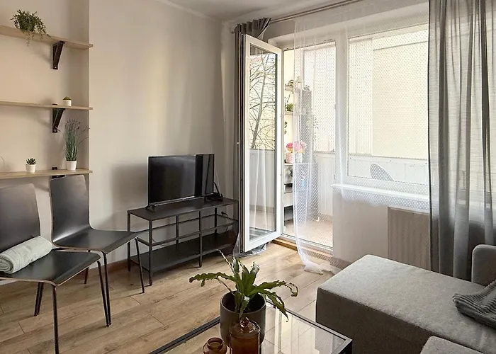 Szewska, Harlem * Wrocław